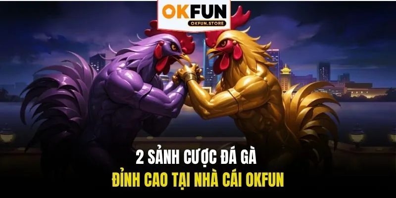 2 sảnh cược đá gà đỉnh cao tại nhà cái OKFUN