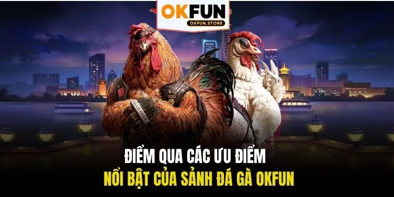 Điểm qua các ưu điểm nổi bật của sảnh đá gà OKFUN
